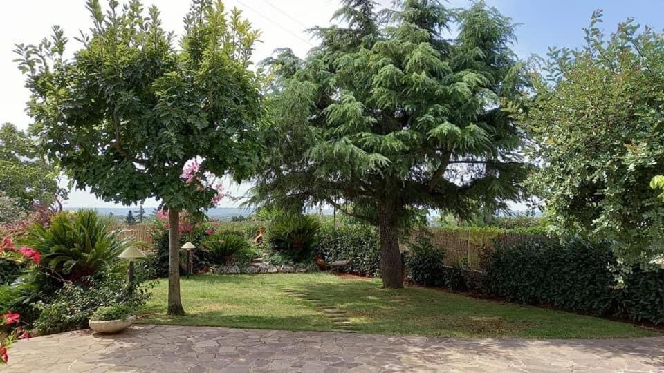 Villa Marinelli Locorotondo Bagian luar foto